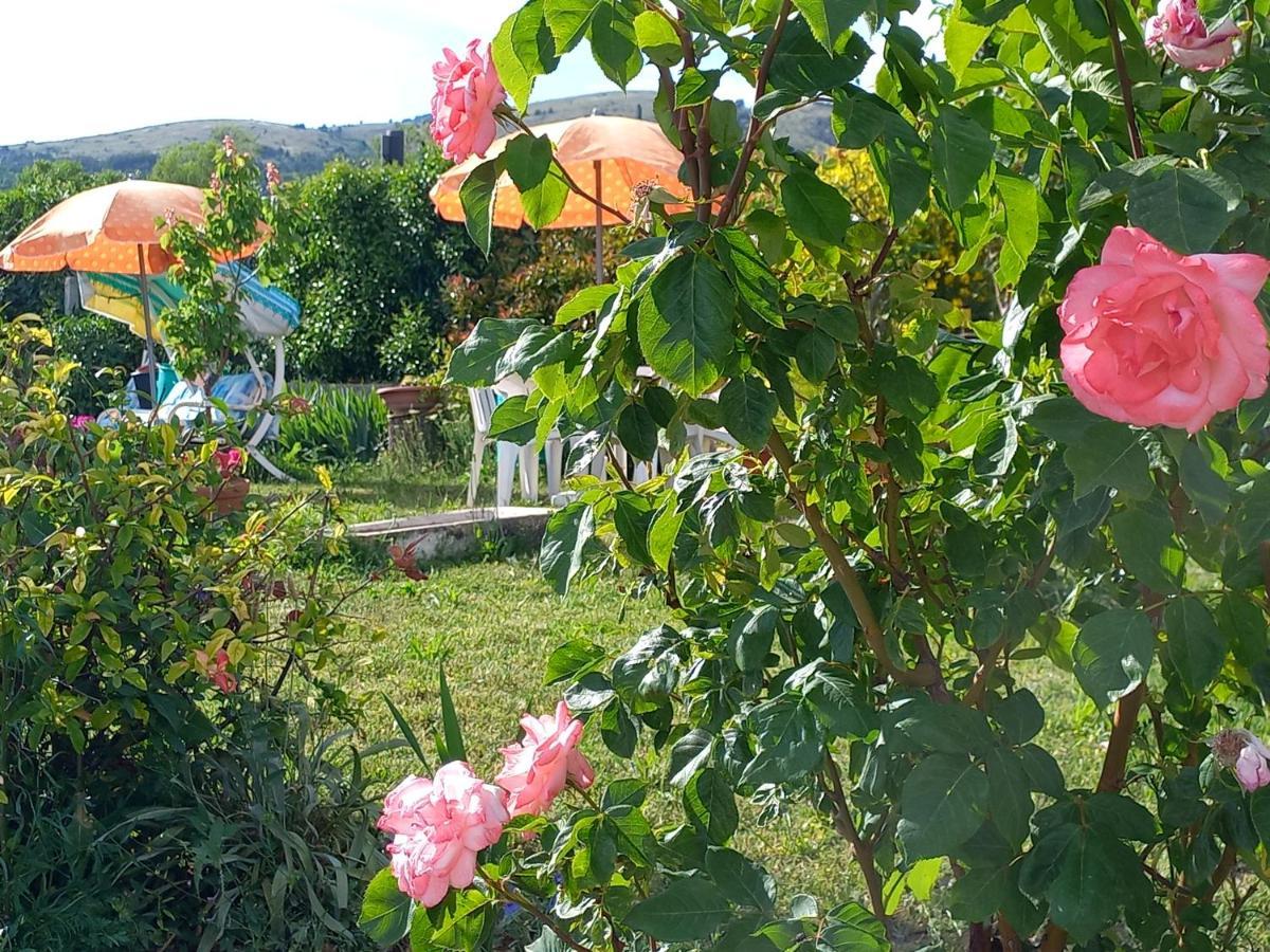 Alloggio Taddei Баришано Экстерьер фото